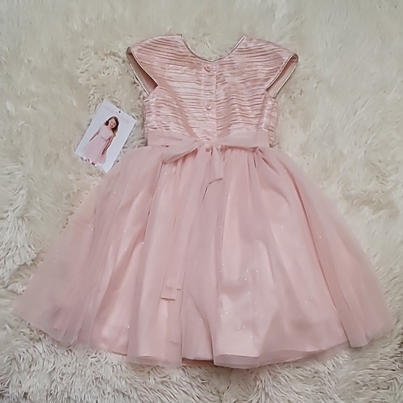 Pink Pleated Midi Dress, Girls Size 4 - Picture 5 of 5